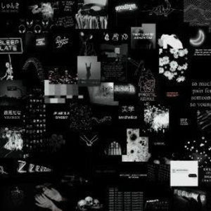 Meet your Posher, D'nariyae